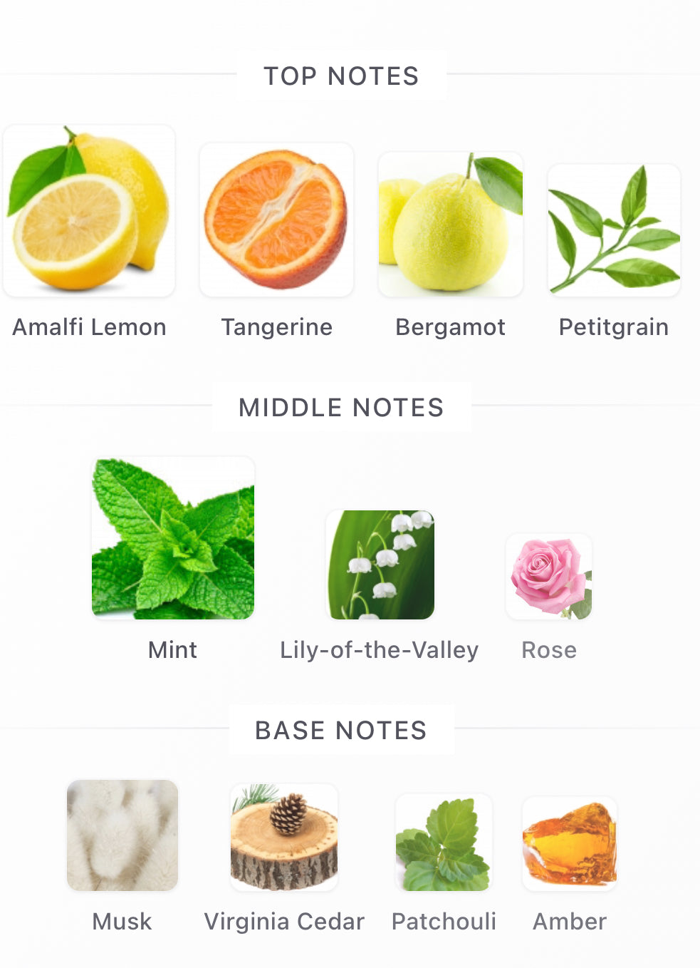 Renaissance Decants