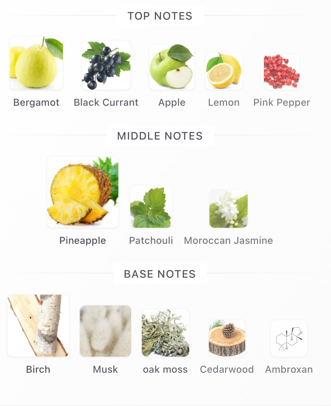 Aventus Decants