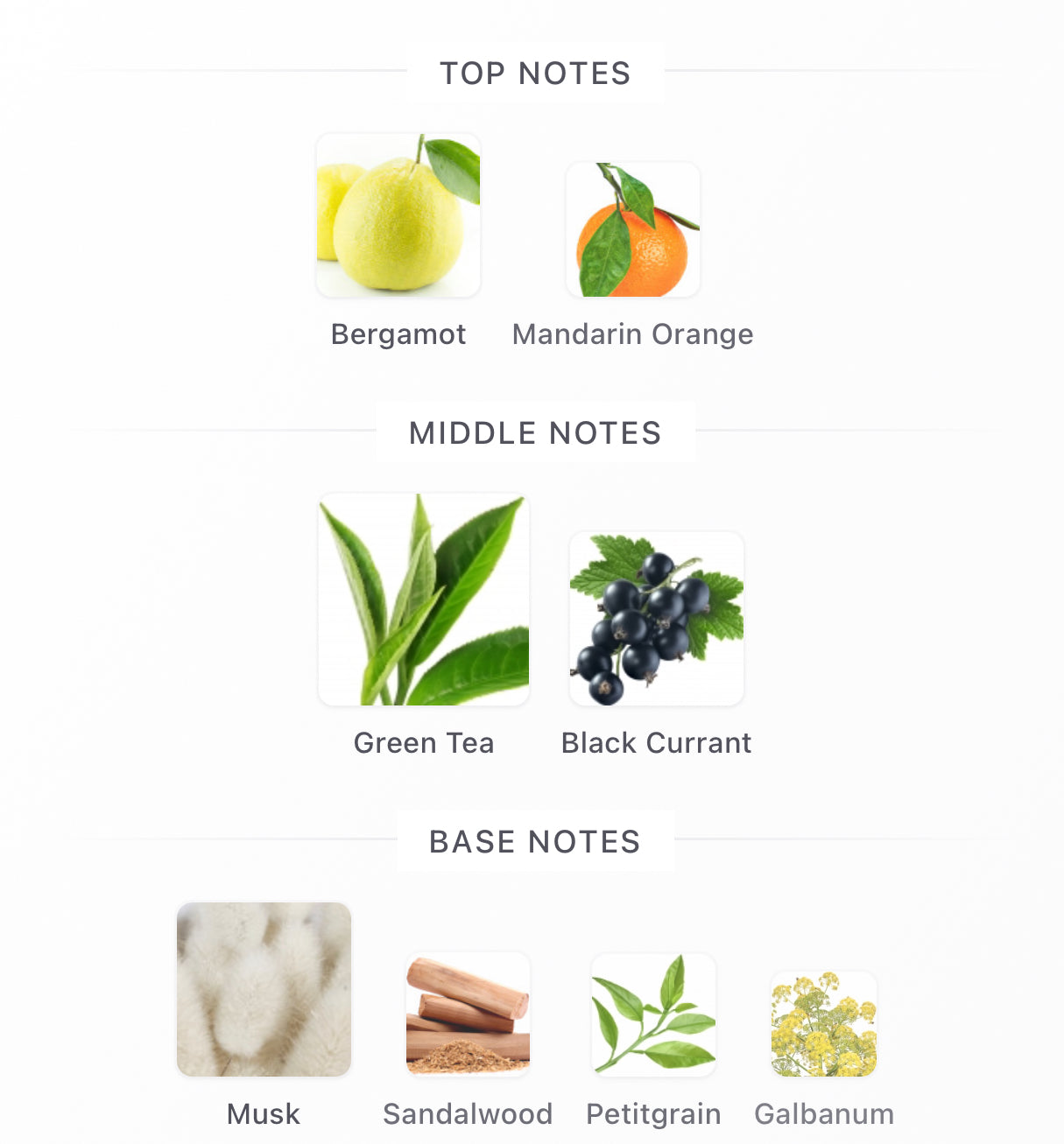 Silver Mountain Water Decants