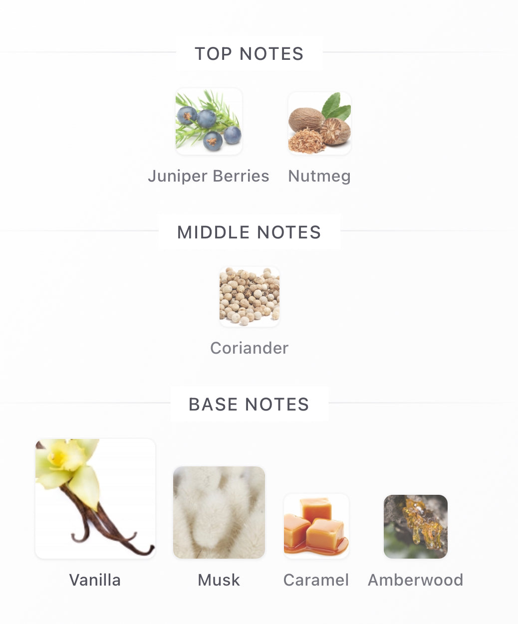 Gentle Fluidity Gold Decants