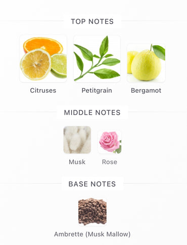 Byredo Palermo Decants