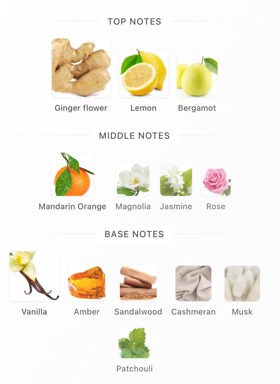 Ingenious Ginger Decants