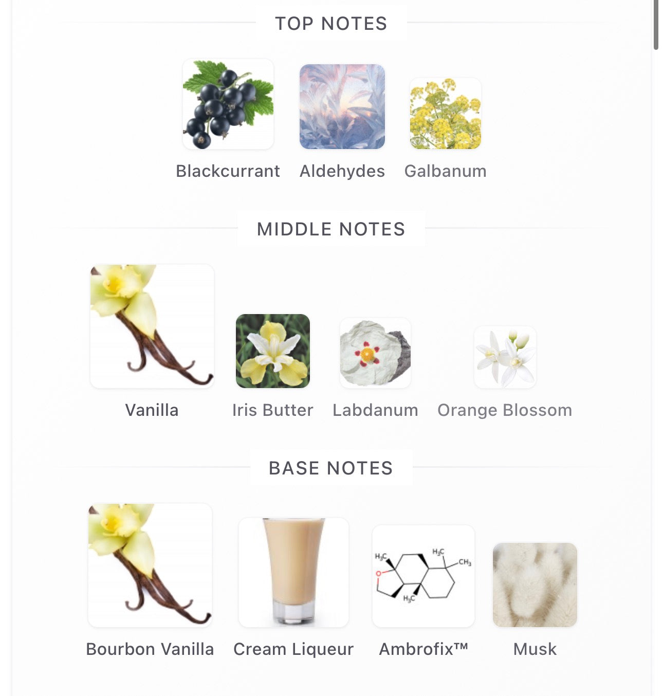 Byredo Future Memories Decants