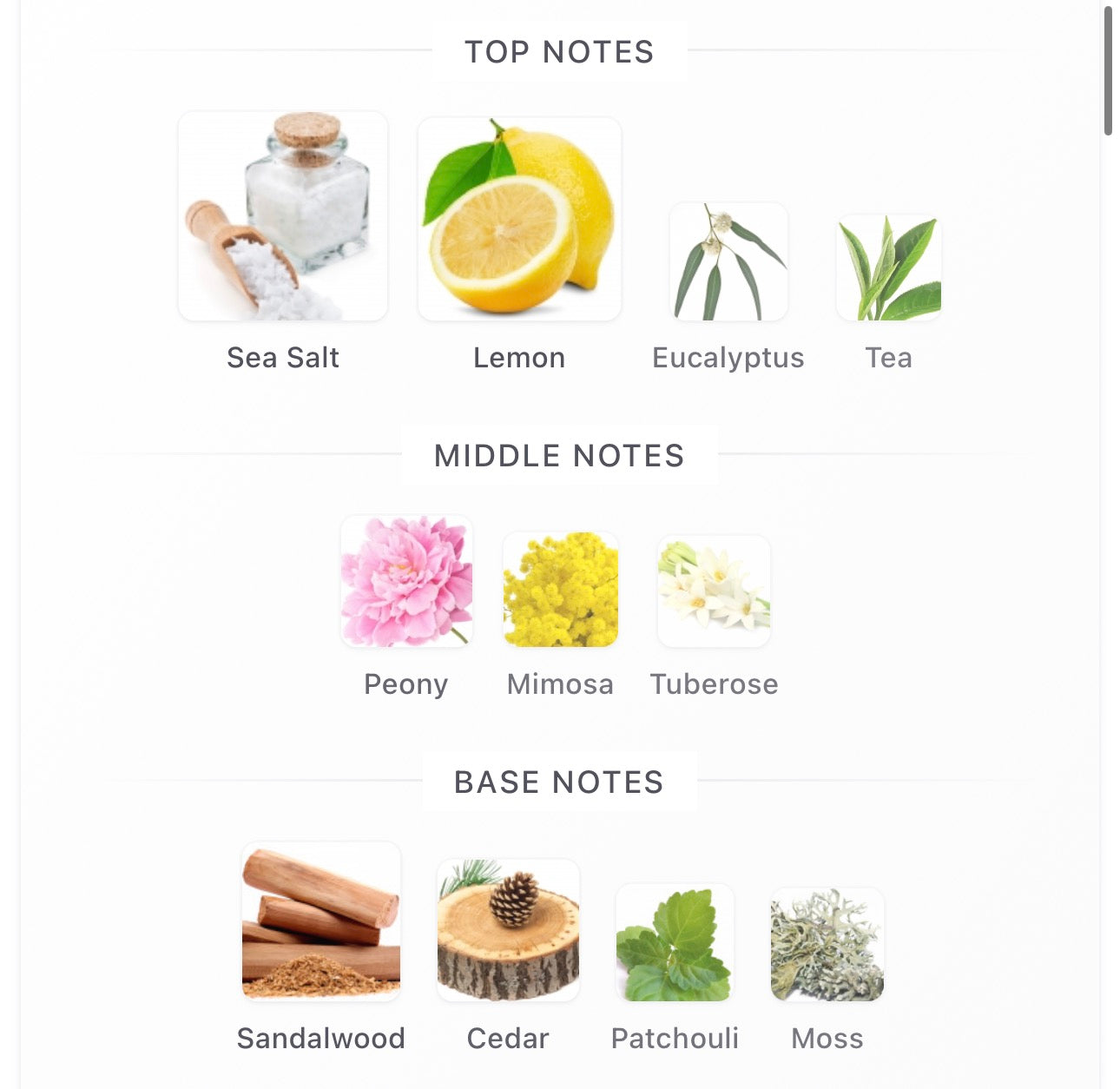 Goldfeild & Banks Pacific Rock Flower Decants (Pre-Order)
