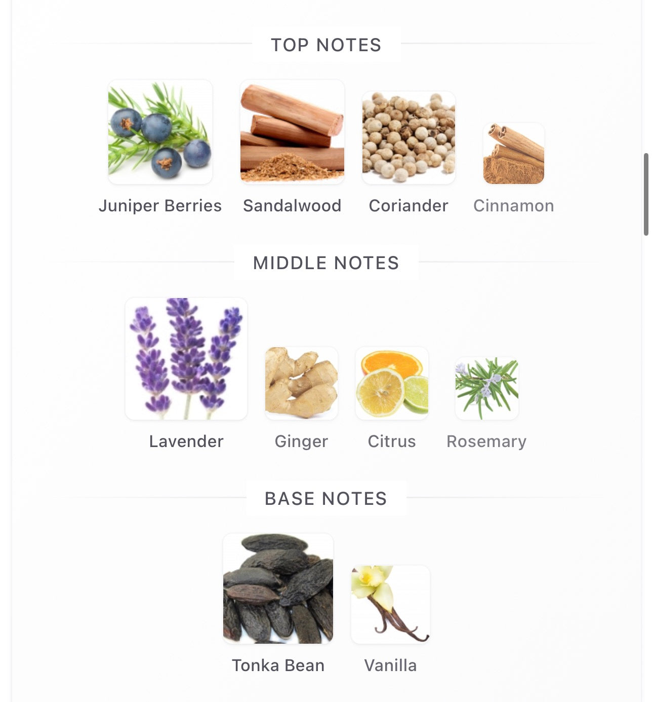 Original Santal Decants