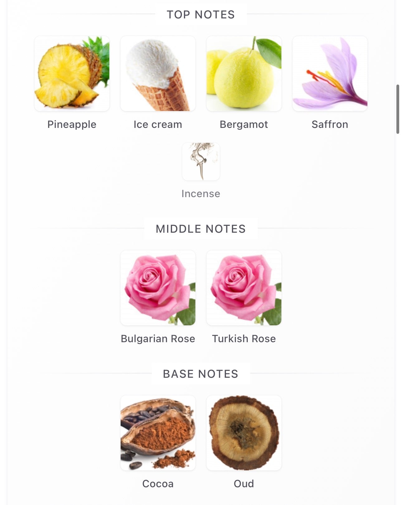 Bdk Oud Paradiso Decants