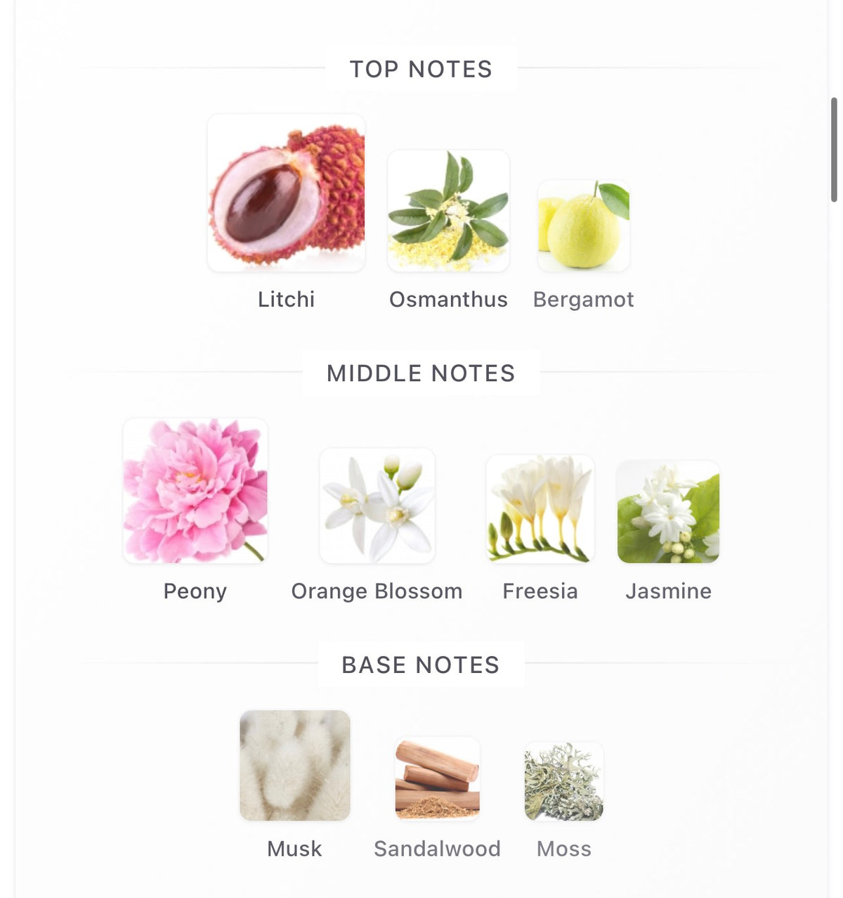 Ex Nihilo Fleur Narcotique Extrait Decants