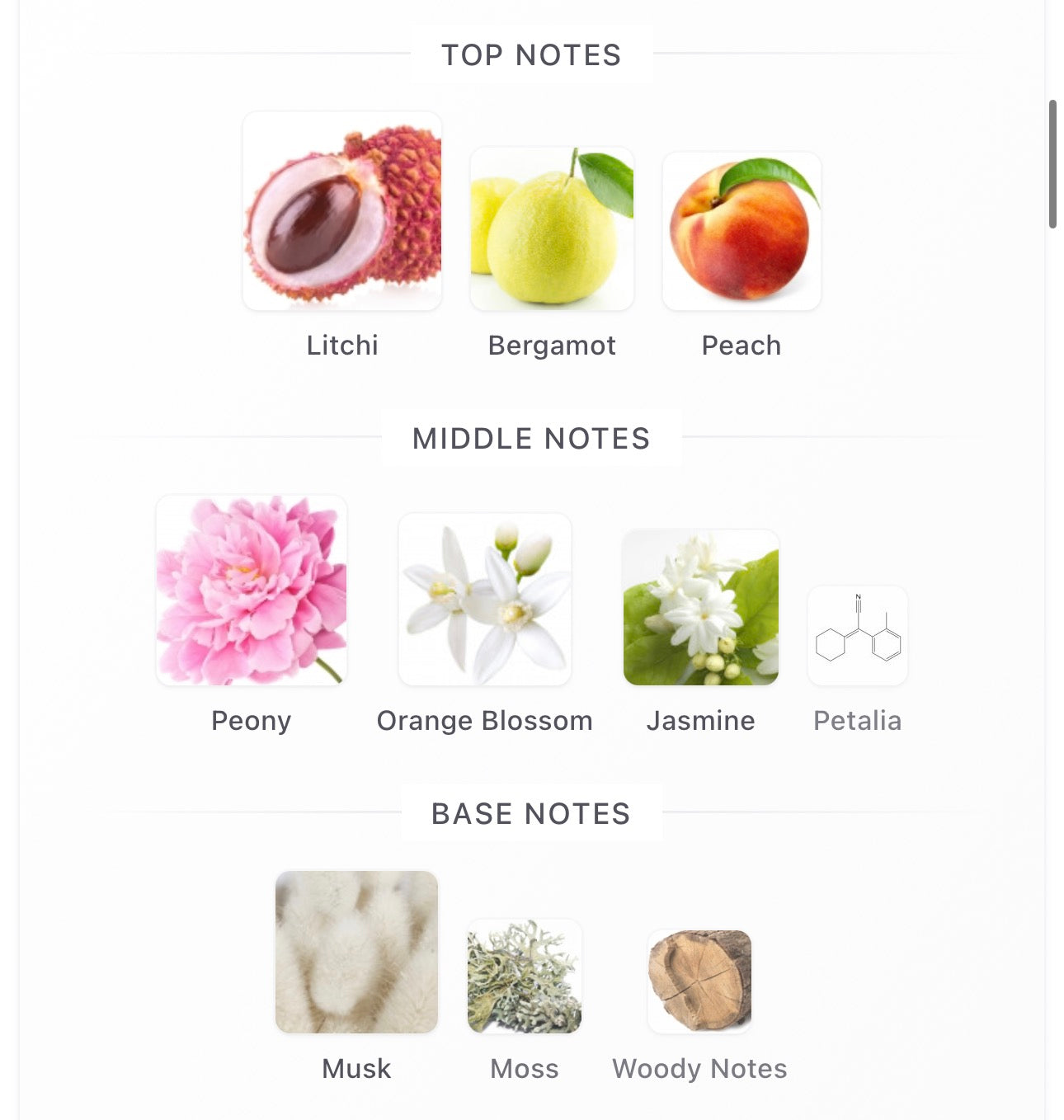 Fleur Narcotique Decants