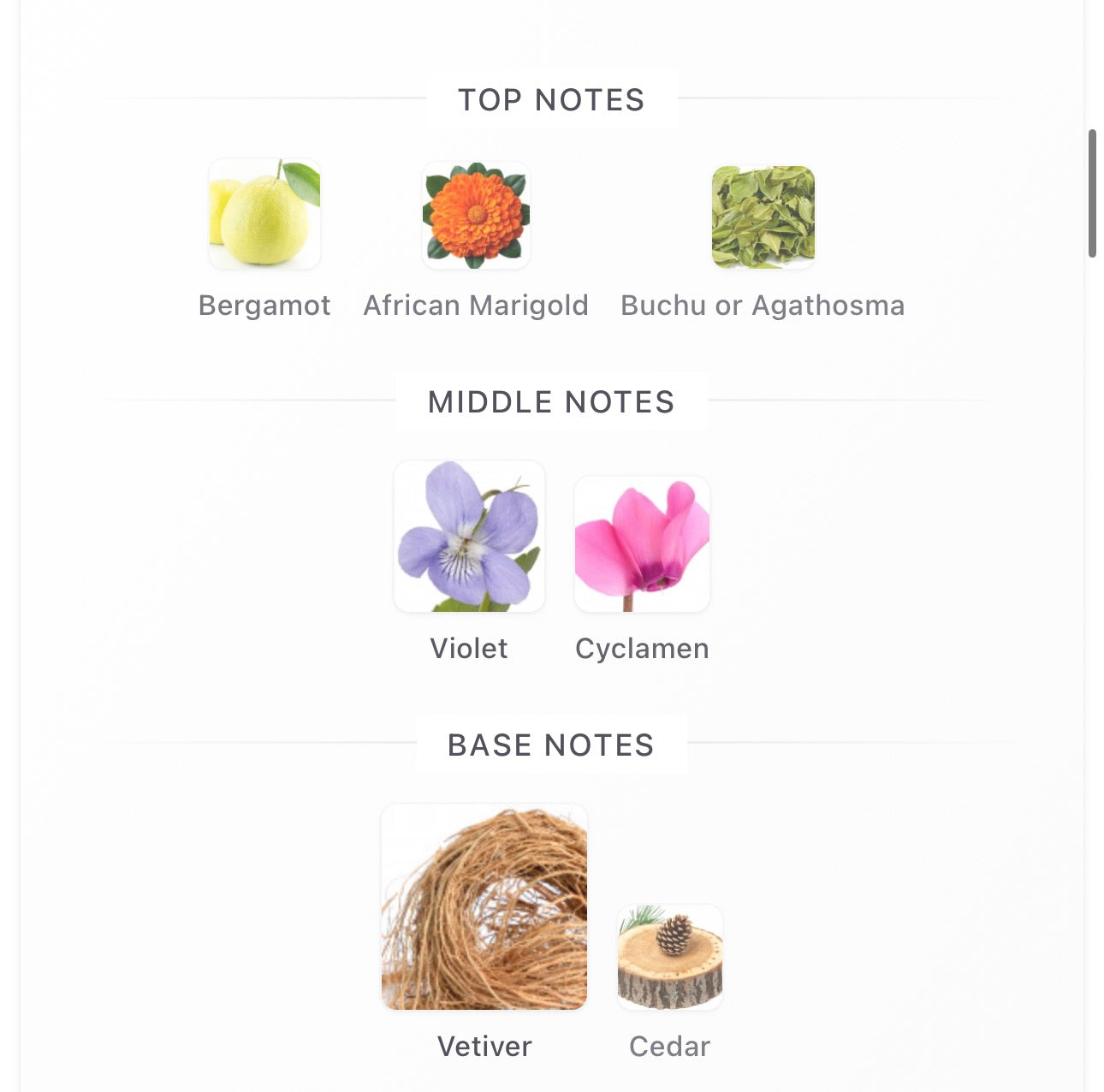 Bal D’Afrique EDP Decants