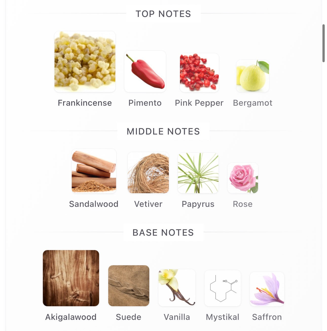 Purpose 50 Decants