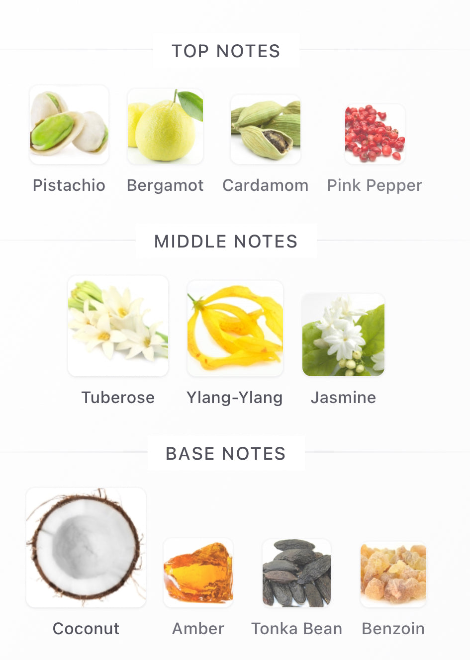 Soleil Blanc Decants