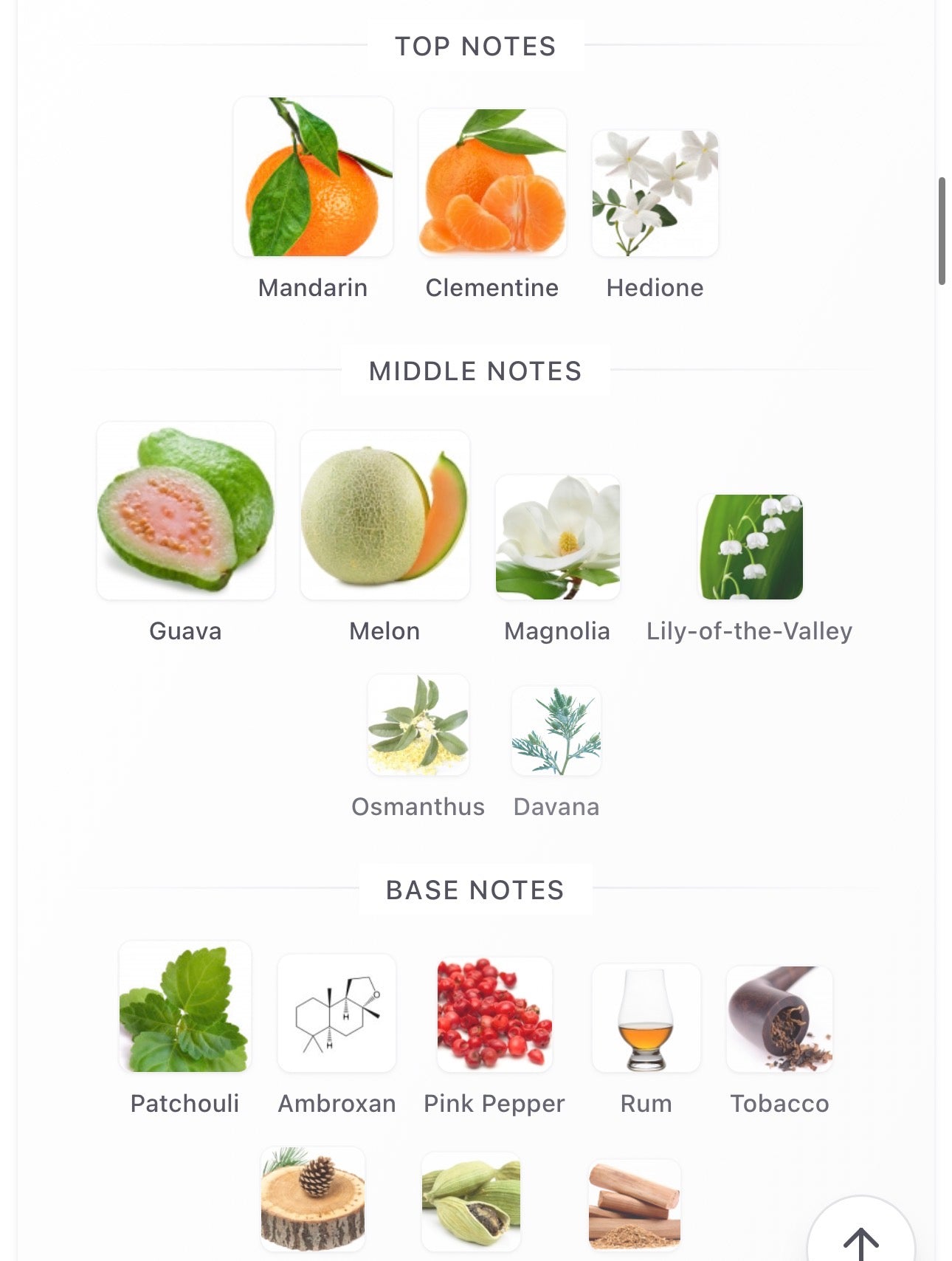 Isola Verde Decants