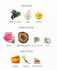 Nomad Decants