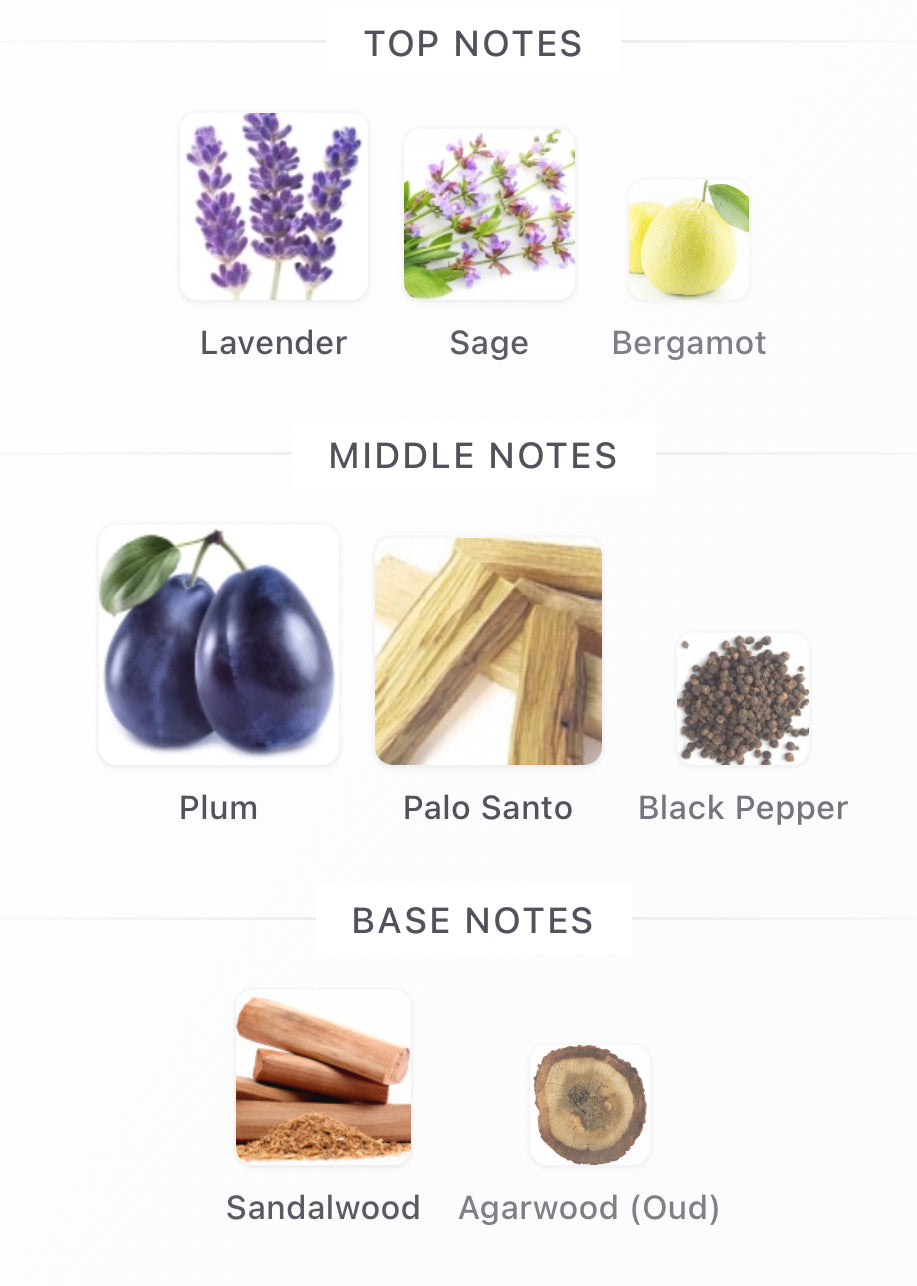 Paragon Decants