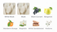 Musk Therapy Decants