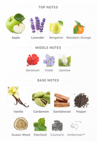 Layton Decants