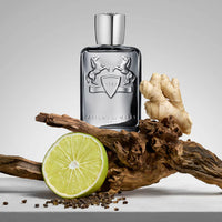 Castley Decants