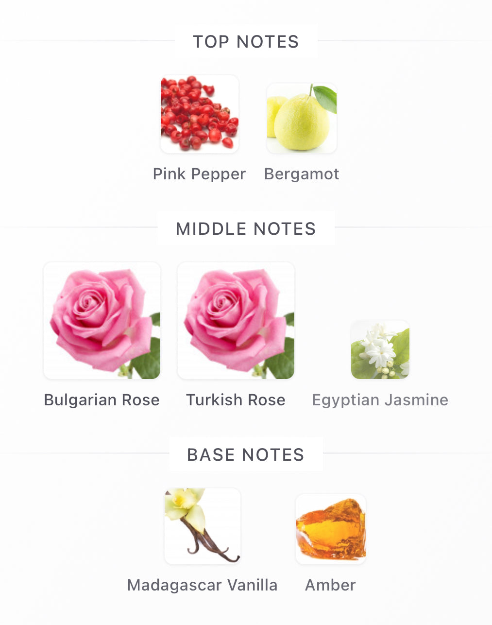 Atomic Rose Decants