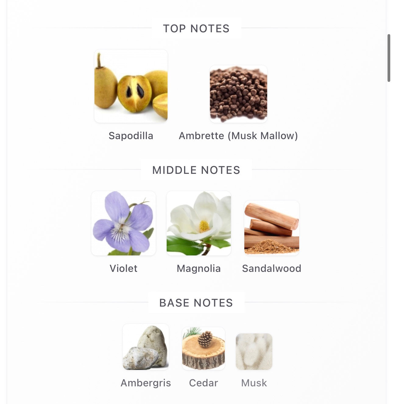 Mojave Ghost EDP Decants