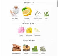 Goldfeild & Banks Pacific Rock Flower Decants (Pre-Order)