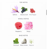 Rose of No Man’s Land Absolu Decants