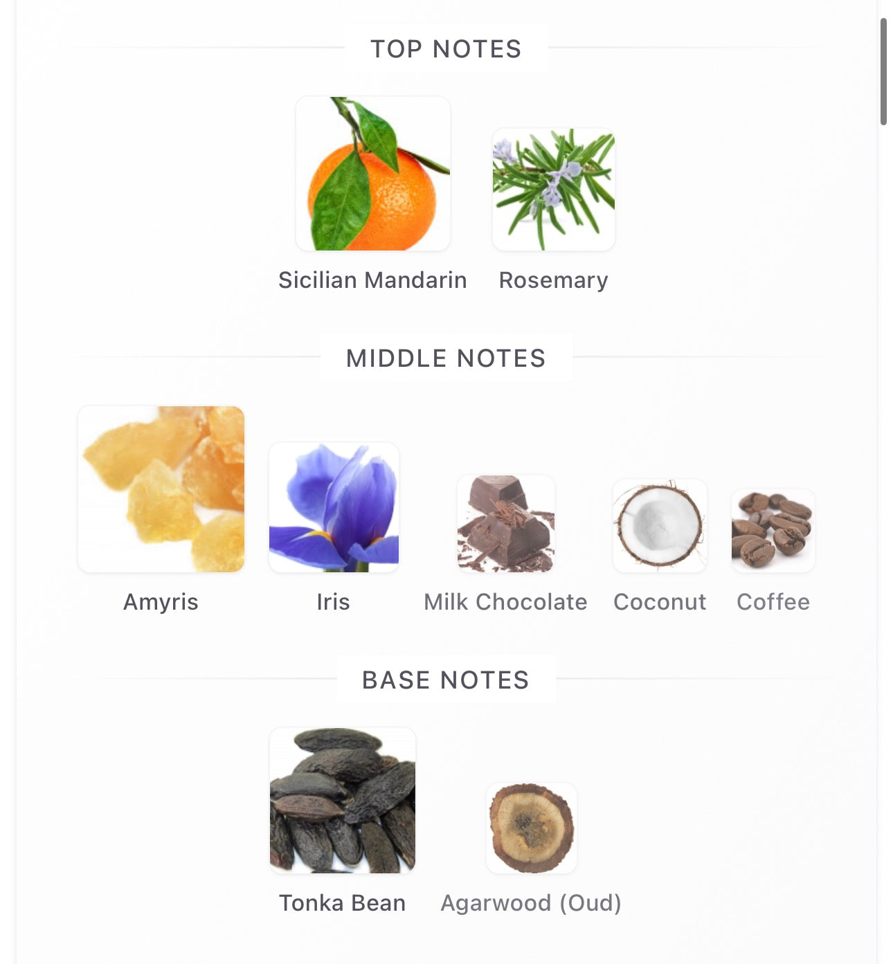 Amyris Homme EDT Decants