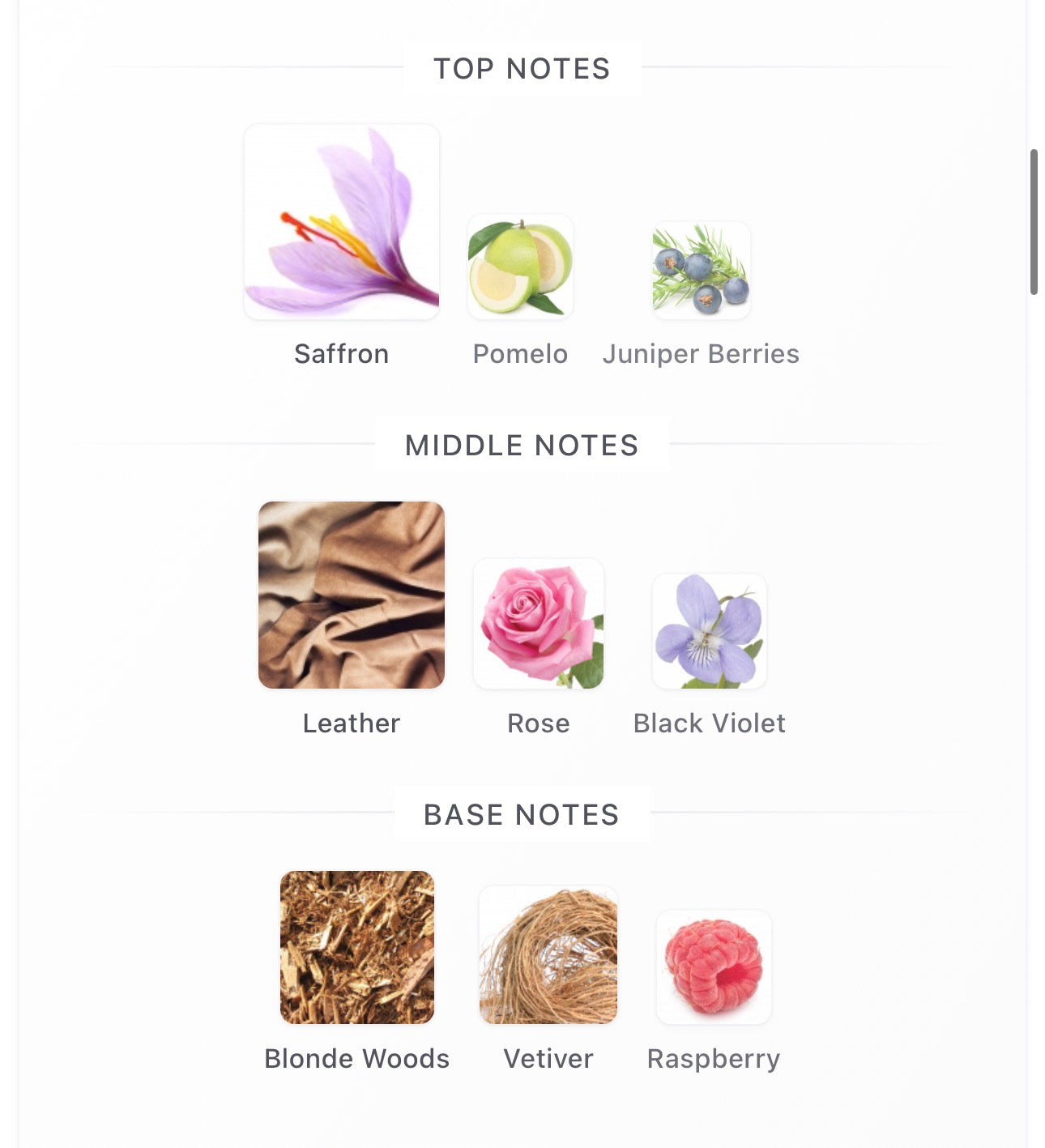 *NEW* Black Saffron Absolu Decants