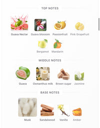 House of Brandt Guava Sorbet Elixir (Pre-Order)