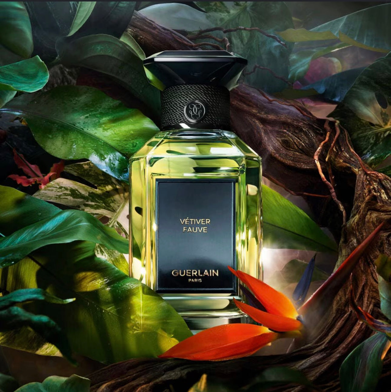 Guerlain Vetiver Fauve Decants
