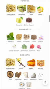 Amouage Outlands Decants