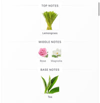 Louis Vuitton Tea Storm Decants (Pre-Order)