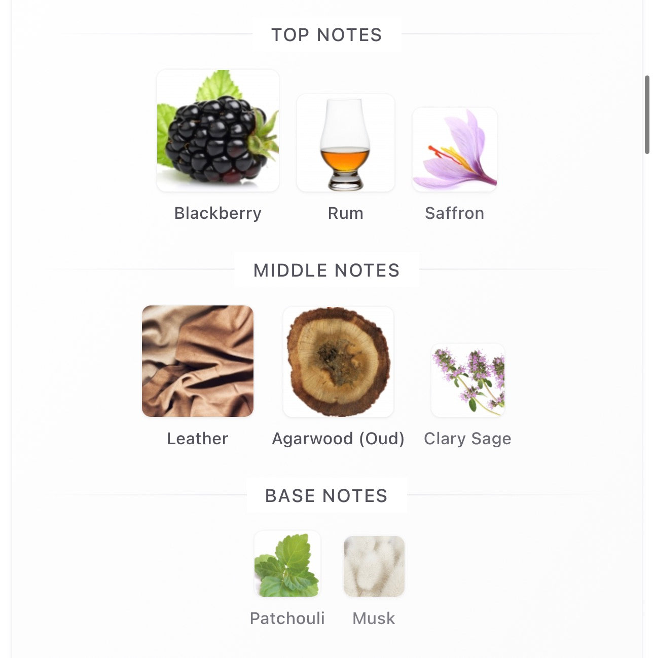 Accord Oud Decants (DISCONTINUED)