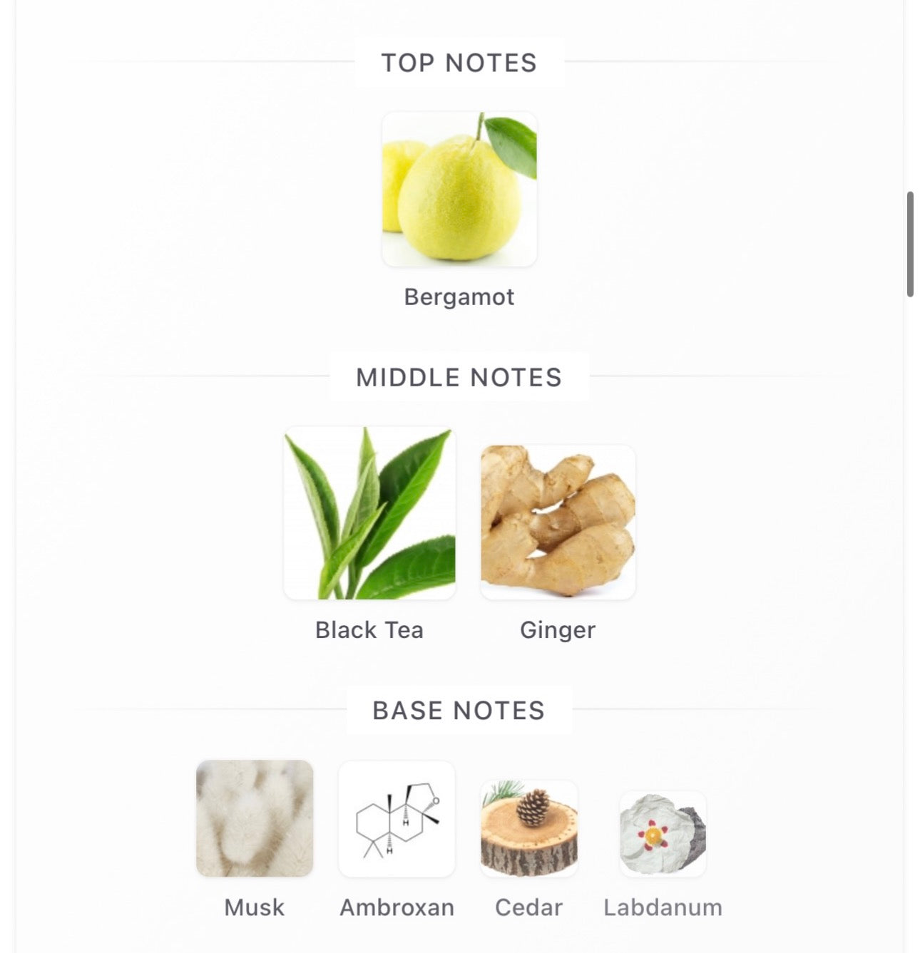 Givenchy L'Enfant Terrible Decants