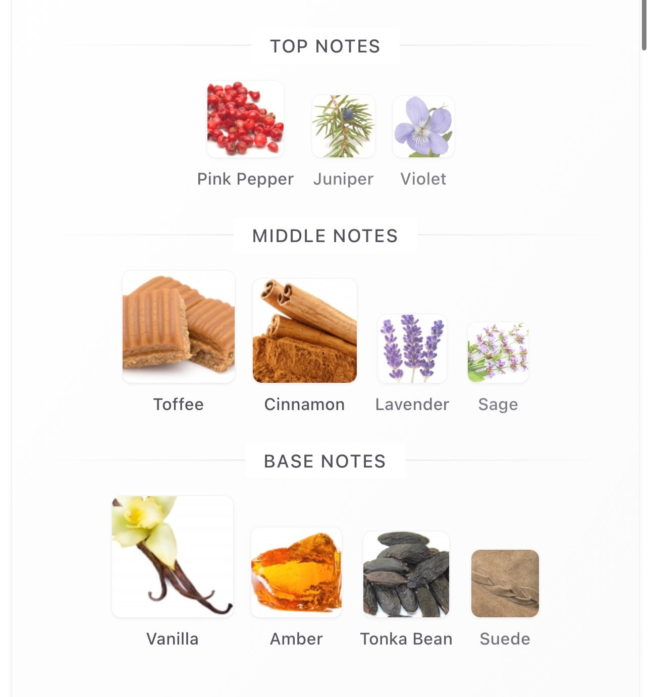 Stronger With You Intensely Decants