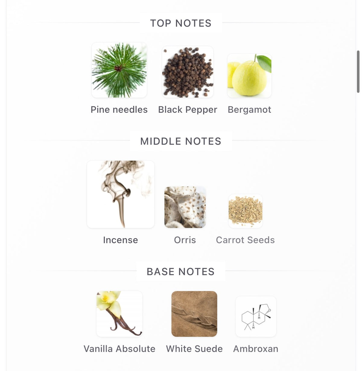 Byredo Gypsy Water Absolu Decants