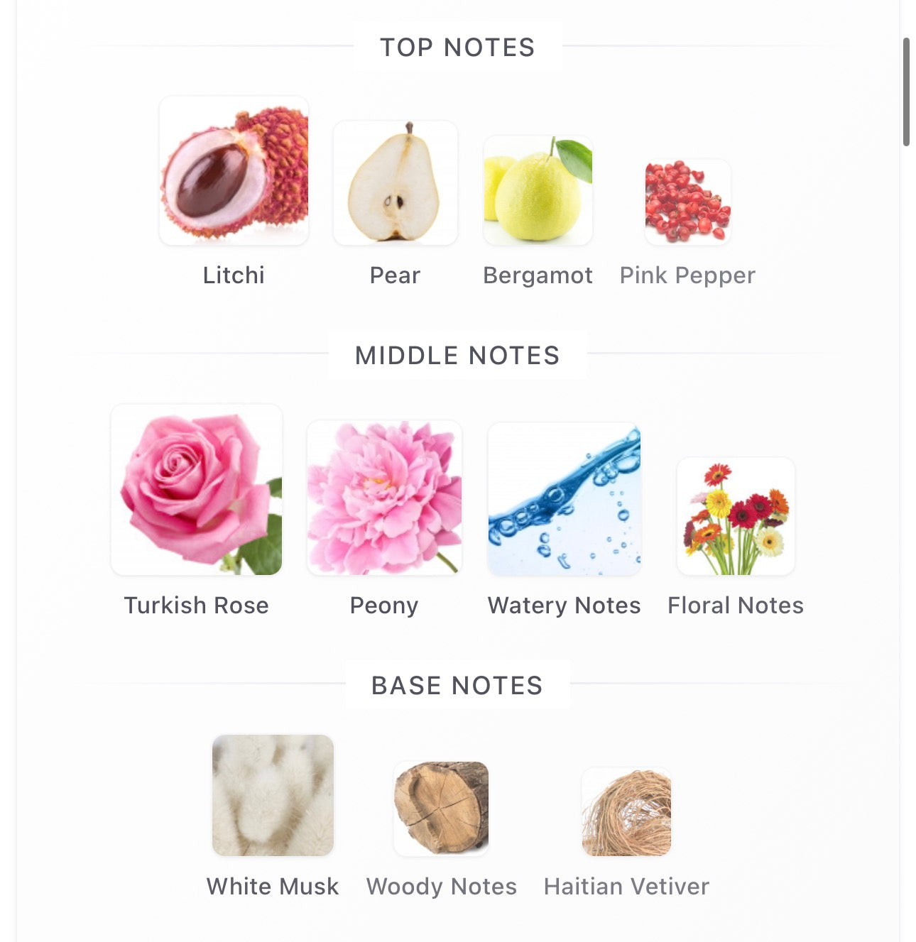Delina La Rosee Decants