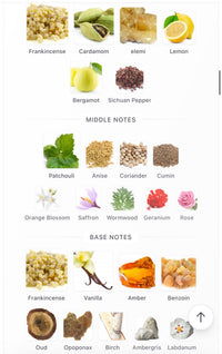 Amouage Outlands Decants
