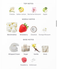 Yum Boujee Marshmallow Decants