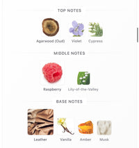 Widian London Decants