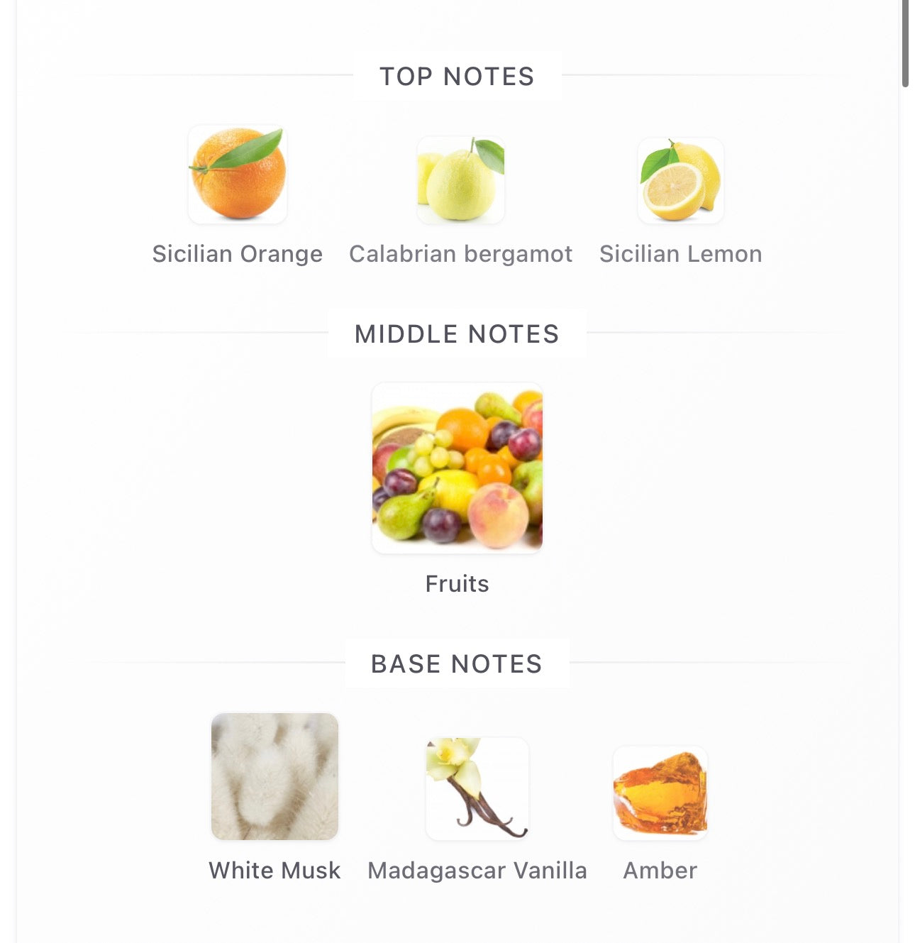 Erba Pura Decants
