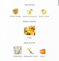 Erba Pura Decants