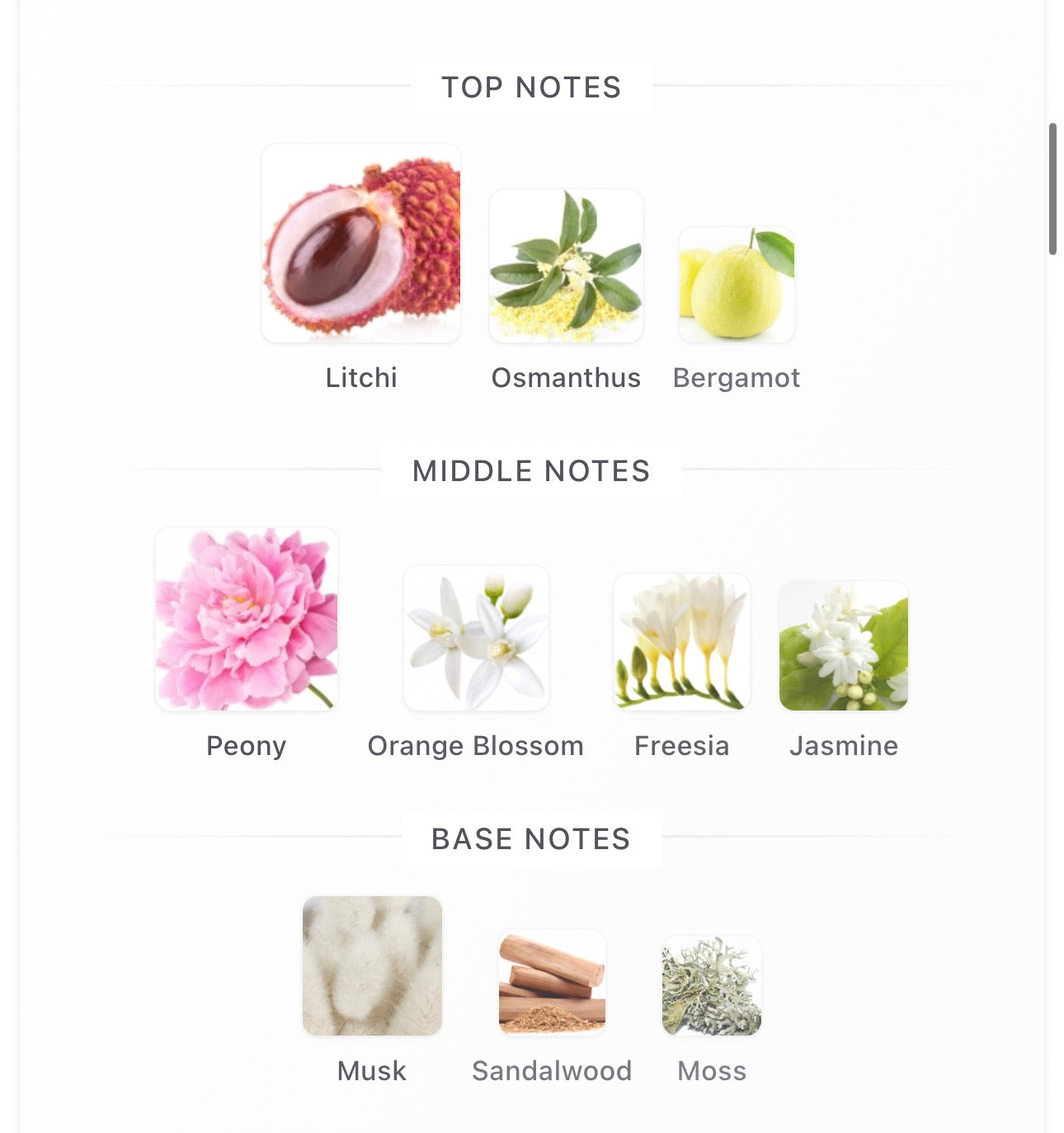 Ex Nihilo Fleur Narcotique Extrait Decants