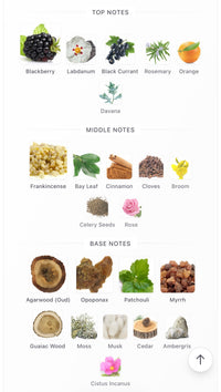 Amouage Jubilation 40 Decants