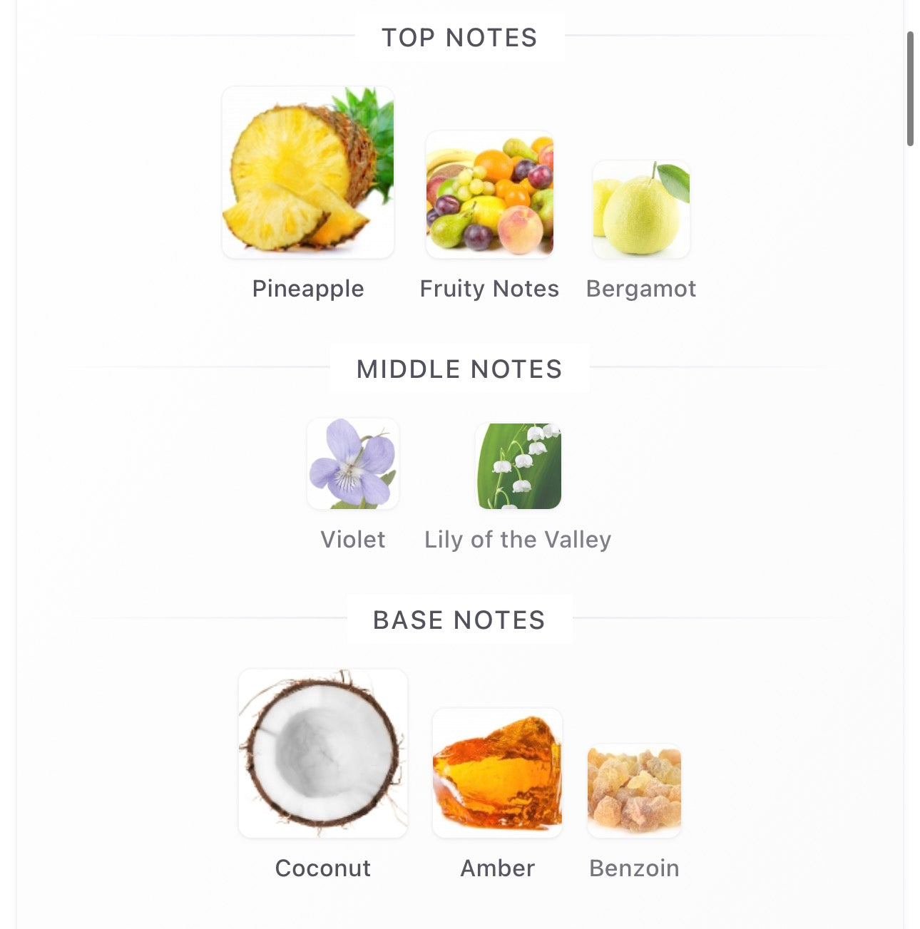Kajal Kolada Decants