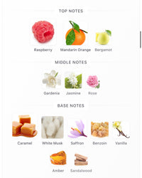 Reinvented Parfums Sacred Bond Extrait (Pre-Order)
