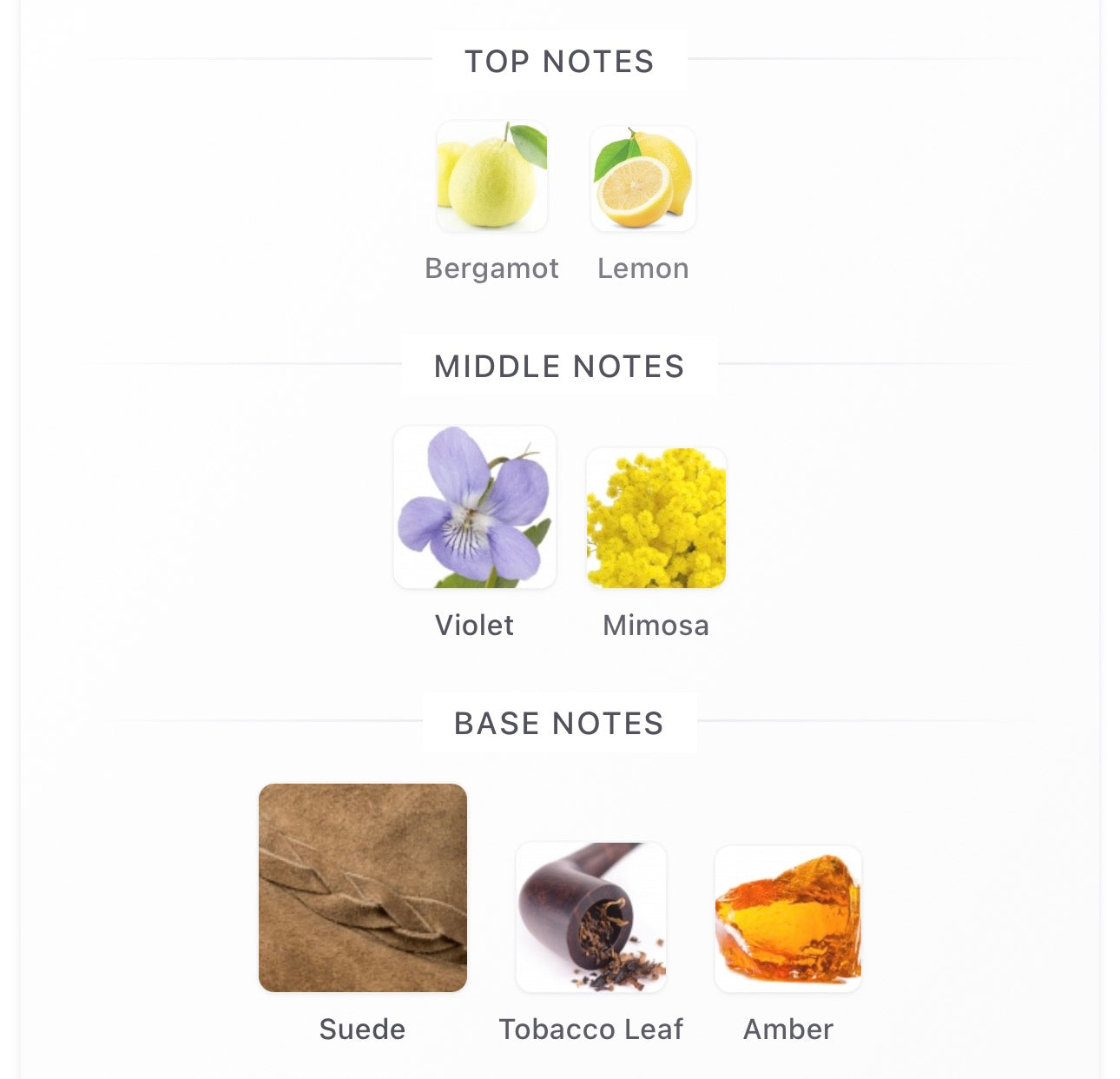 Byredo Animalique Decants