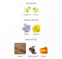 Byredo Animalique Decants