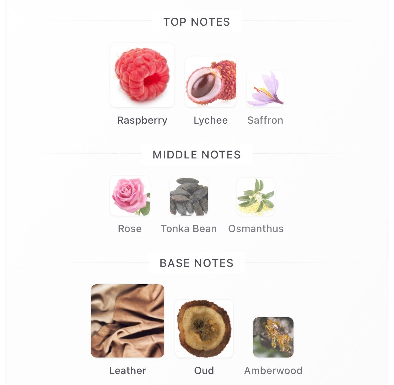 Amouage Sequence Decants