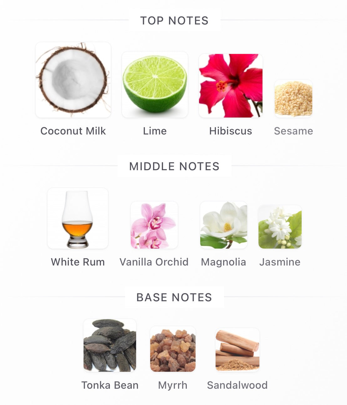 Miami Tropical Confessions Decants
