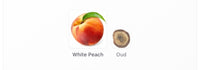 Christian Louboutin Oud Fetiche Decants